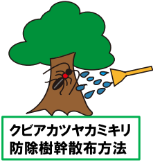クビアカツヤカミキリ防除樹幹散布方法
