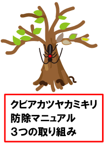 クビアカツヤカミキリ防除マニュアル3つの取り組み